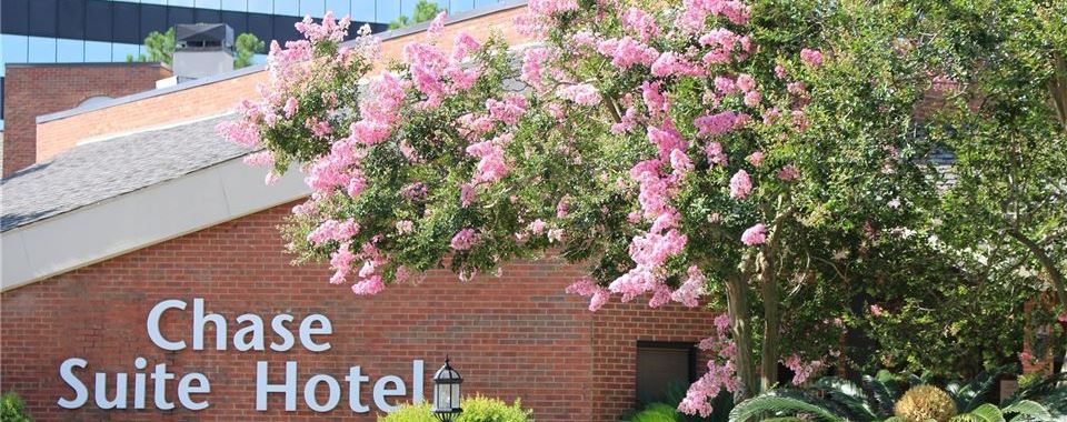 Chase Suite Hotel Baton Rouge Chase Suite Hotel Baton Rouge